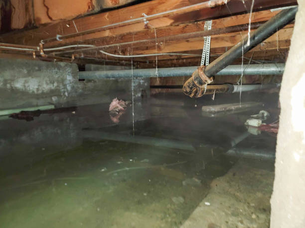 Best Fire Damage Restoration  in Coosada, AL