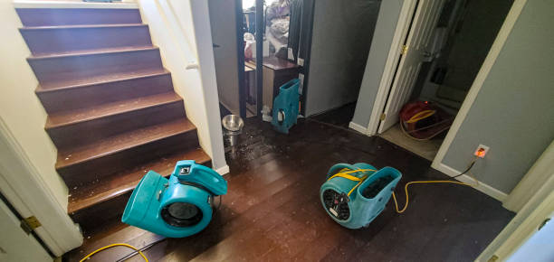 Best Local water damage restoration  in Coosada, AL