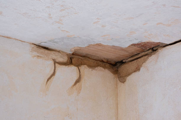 Best Residential water damage restoration  in Coosada, AL