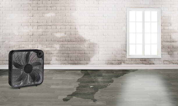 Best Emergency water damage restoration  in Coosada, AL