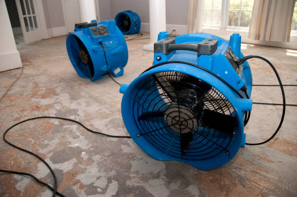 Best Ceiling water damage repair  in Coosada, AL