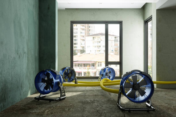 Best Water damage contractors near me  in Coosada, AL