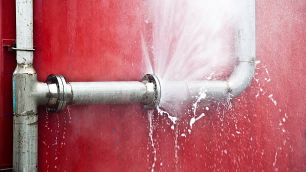 Best Basement water damage restoration  in Coosada, AL