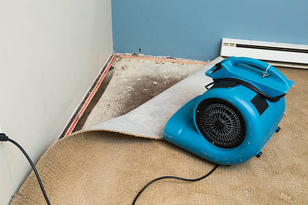 Best Local water damage restoration  in Coosada, AL